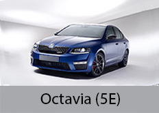 Octavia (5E)