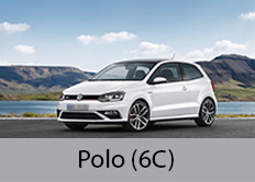 Polo (6C)
