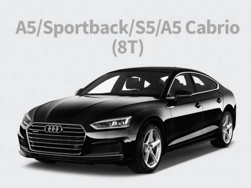 A5/Sportback/S5/A5 Cabrio (8T)